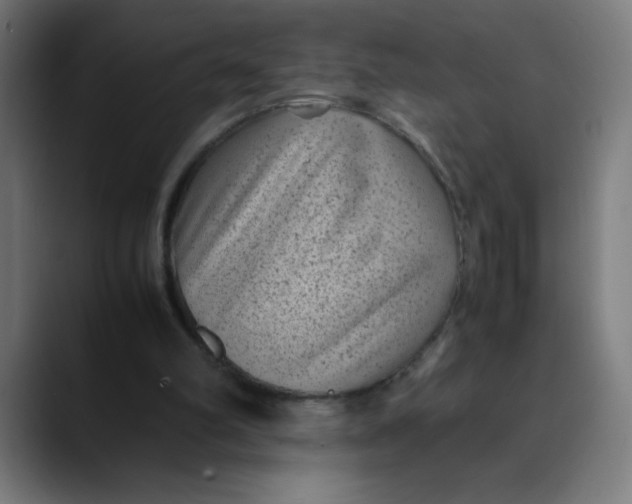 X0000089710102200707121420