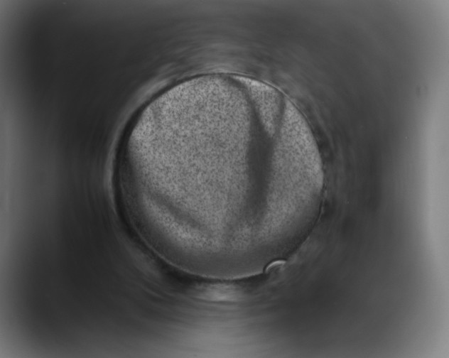 X0000089710104200707121420