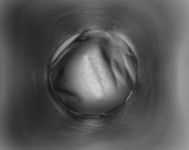 X0000089710105200707121420