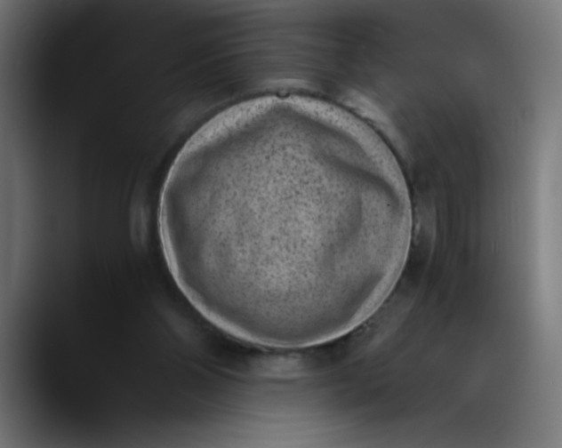 X0000089710110200707121420