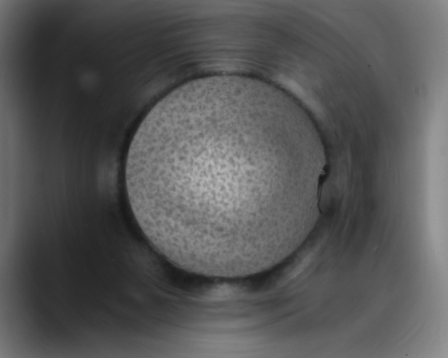 X0000089710111200707121420