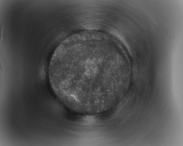 X0000089710114200707121420