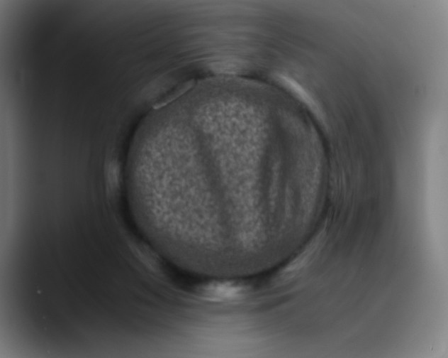 X0000089710117200707121420