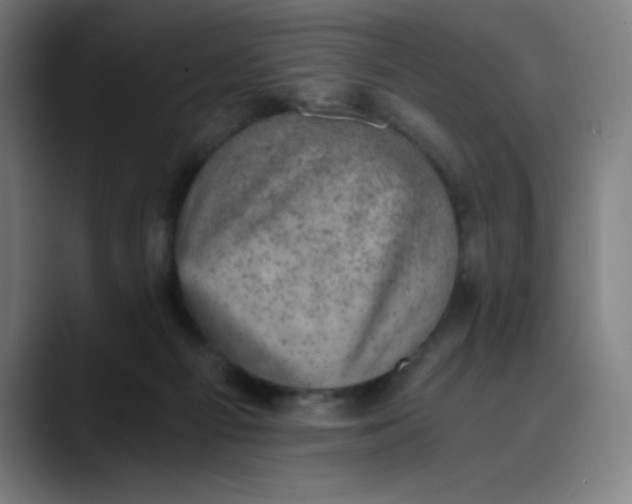 X0000089710121200707121420