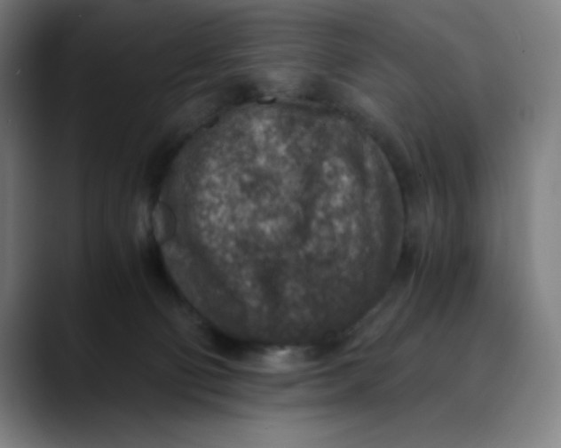 X0000089710130200707121419