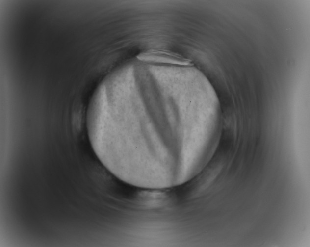 X0000089710133200707121419