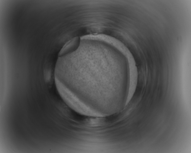 X0000089710134200707121419