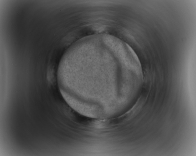 X0000089710136200707121419