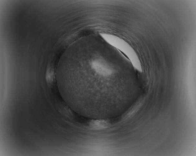 X0000089710137200707121419