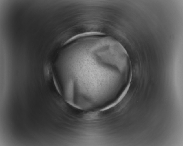 X0000089710138200707121419