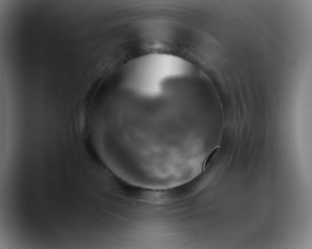 X0000089710139200707121419