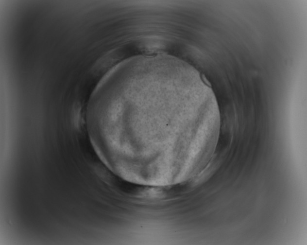 X0000089710140200707121419