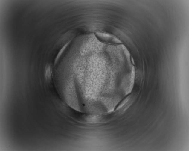 X0000089710142200707121419