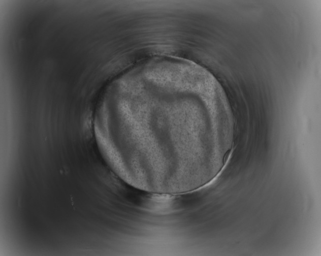 X0000089710144200707121419