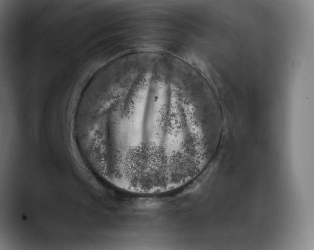 X0000089710145200707121419