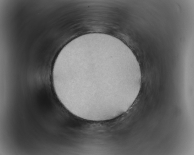 X0000089710146200707121419