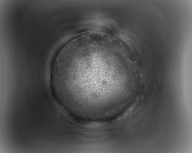 X0000089710149200707121419