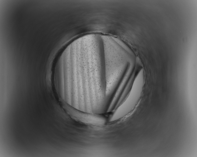 X0000089710150200707121419