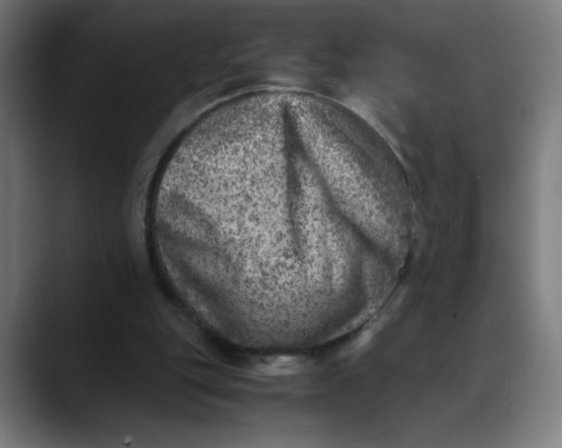 X0000089710151200707121419