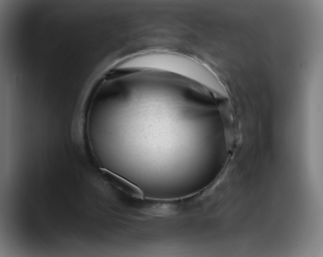 X0000089710152200707121419