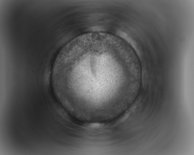 X0000089710153200707121419