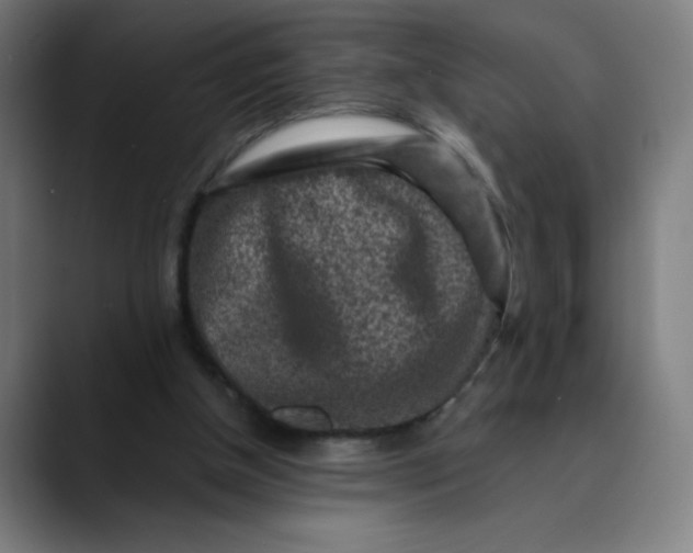 X0000089710154200707121419