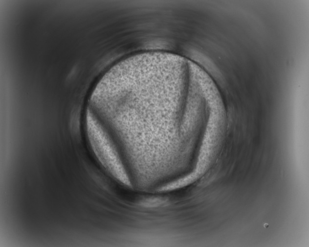 X0000089710155200707121419