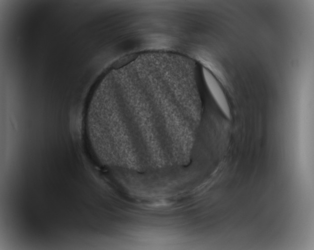 X0000089710156200707121419