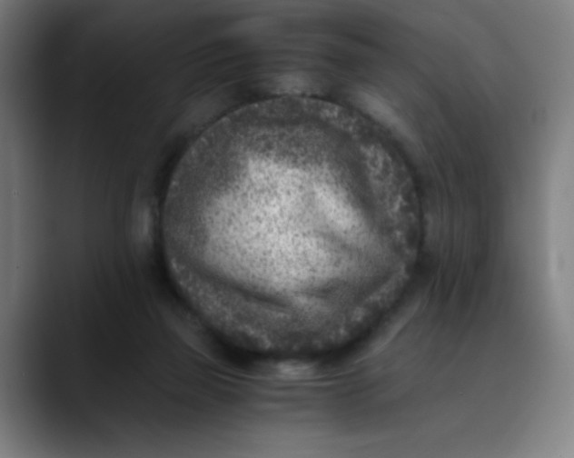 X0000089710165200707121419