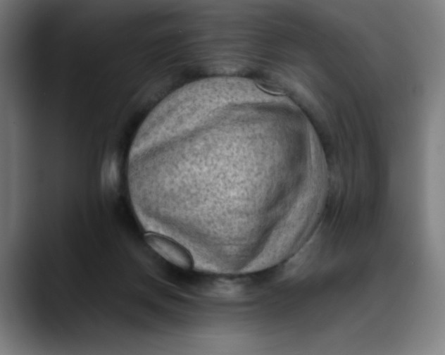 X0000089710166200707121419