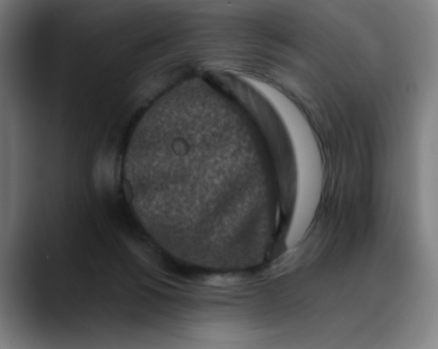 X0000089710168200707121419