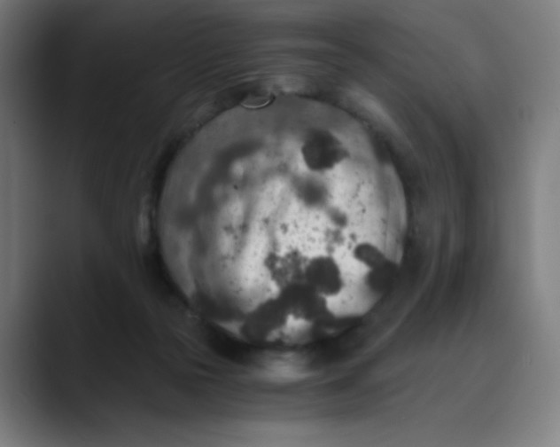 X0000089710169200707121419