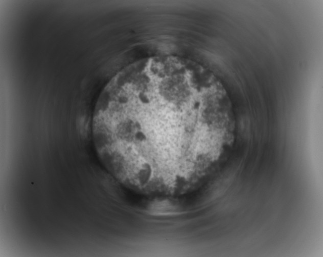 X0000089710177200707121419