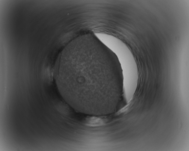 X0000089710180200707121419