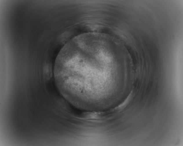 X0000089710182200707121419