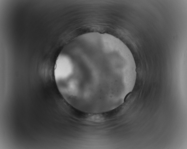 X0000089710185200707121419