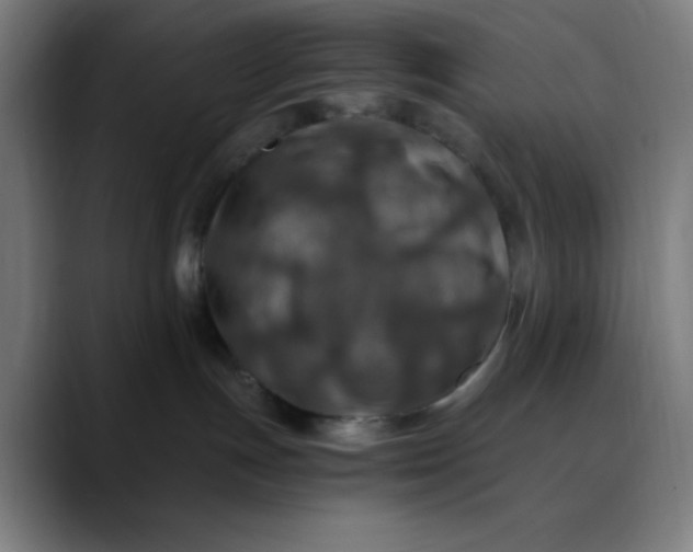 X0000089710191200707121419