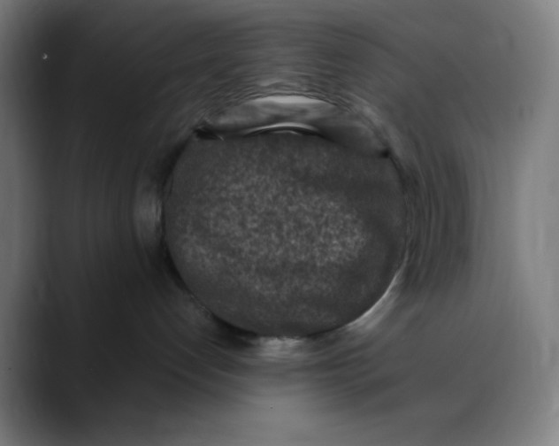 X0000089710192200707121419