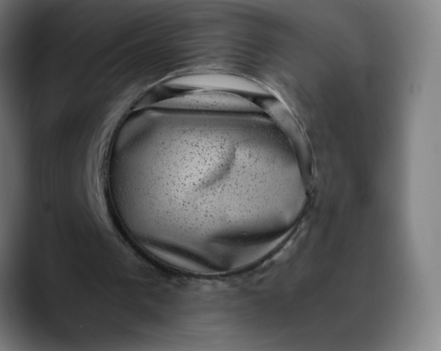 X0000089710193200707121419