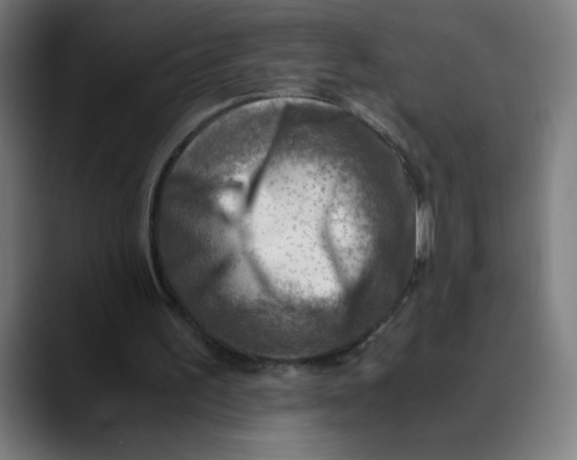 X0000089710195200707121419