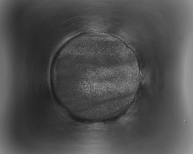 X0000089710196200707121419