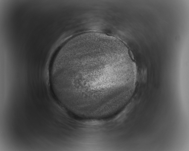 X0000089710198200707121419