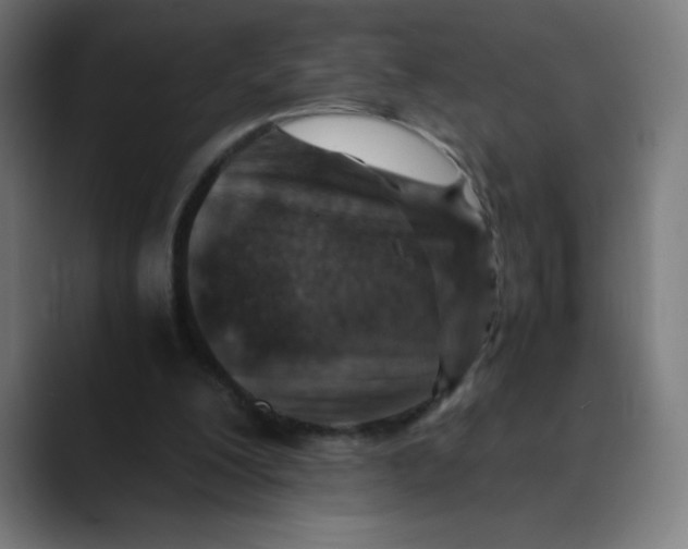 X0000089710200200707121419