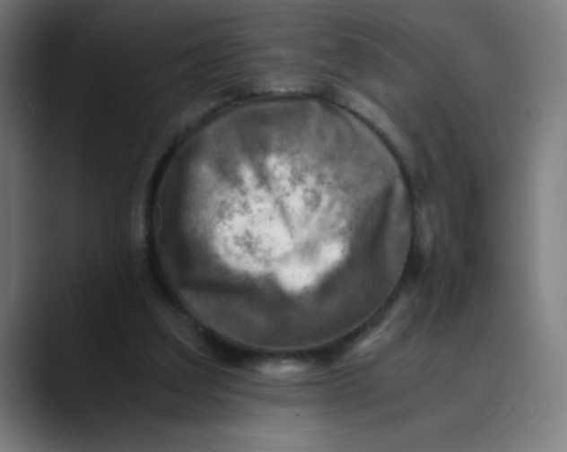 X0000089710203200707121419