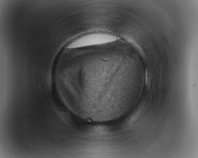 X0000089710204200707121419