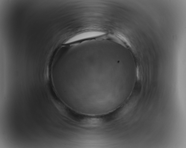 X0000089710205200707121419