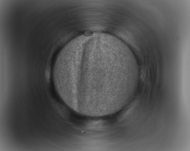 X0000089710206200707121419