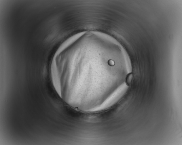 X0000089710208200707121419