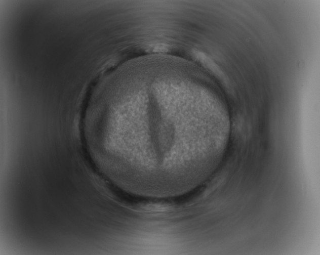 X0000089710209200707121419