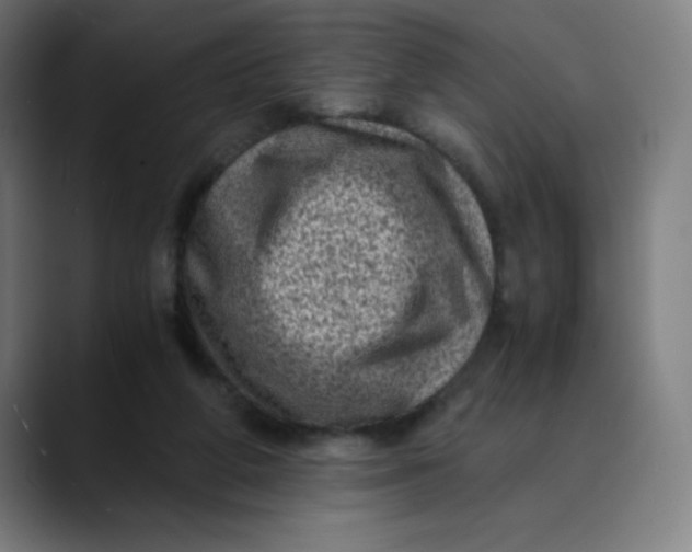 X0000089710210200707121419